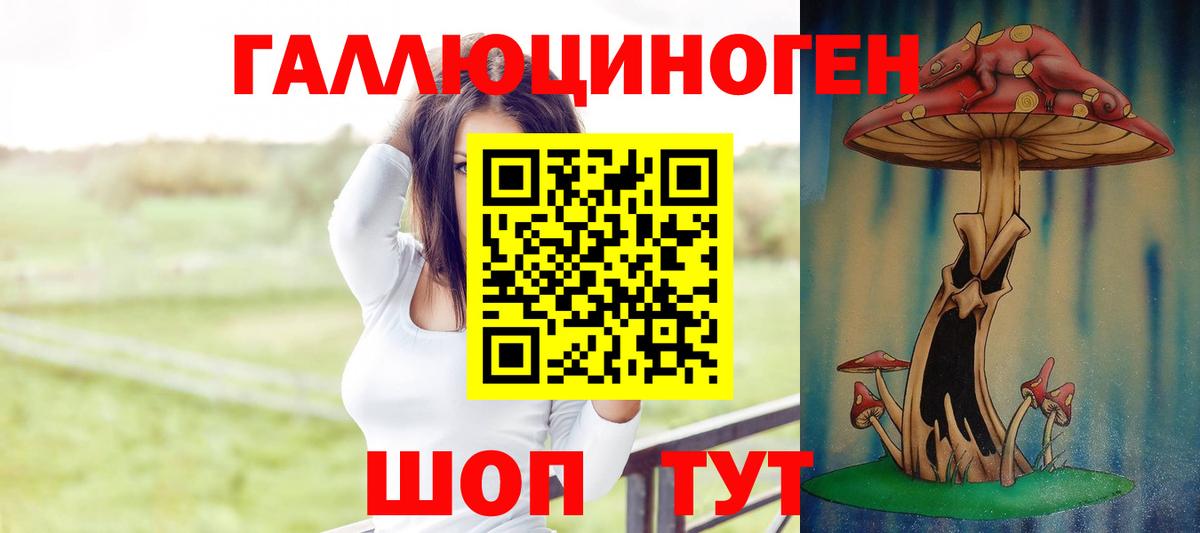 Галлюциногенные грибы мухоморы Каменка
