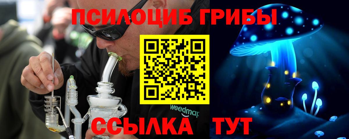 Галлюциногенные грибы ЛСД  Вход с VPN  Галлюциногенные грибы ЛСД  Каменка 